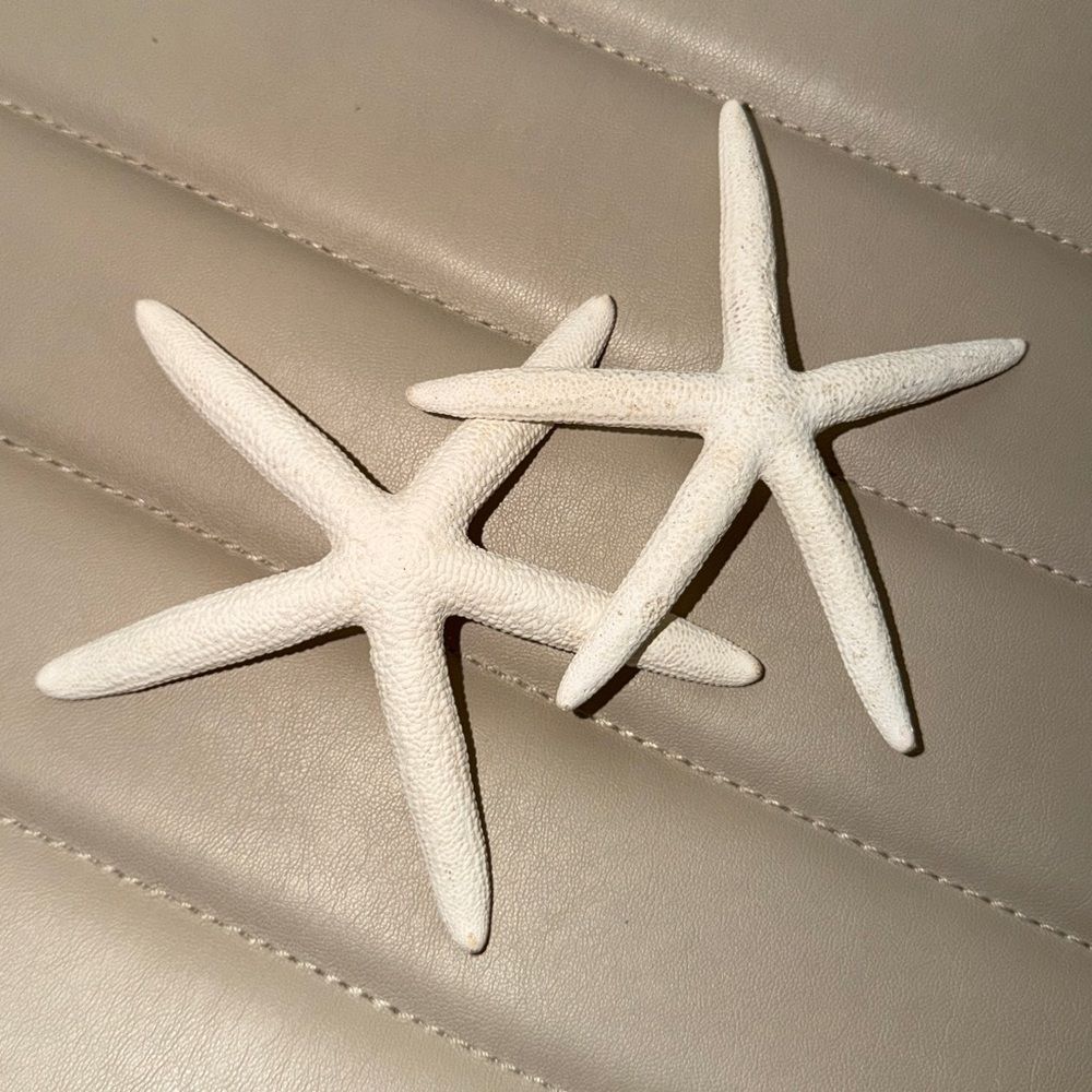Decorative White Starfish Set Nautical Decor Dried